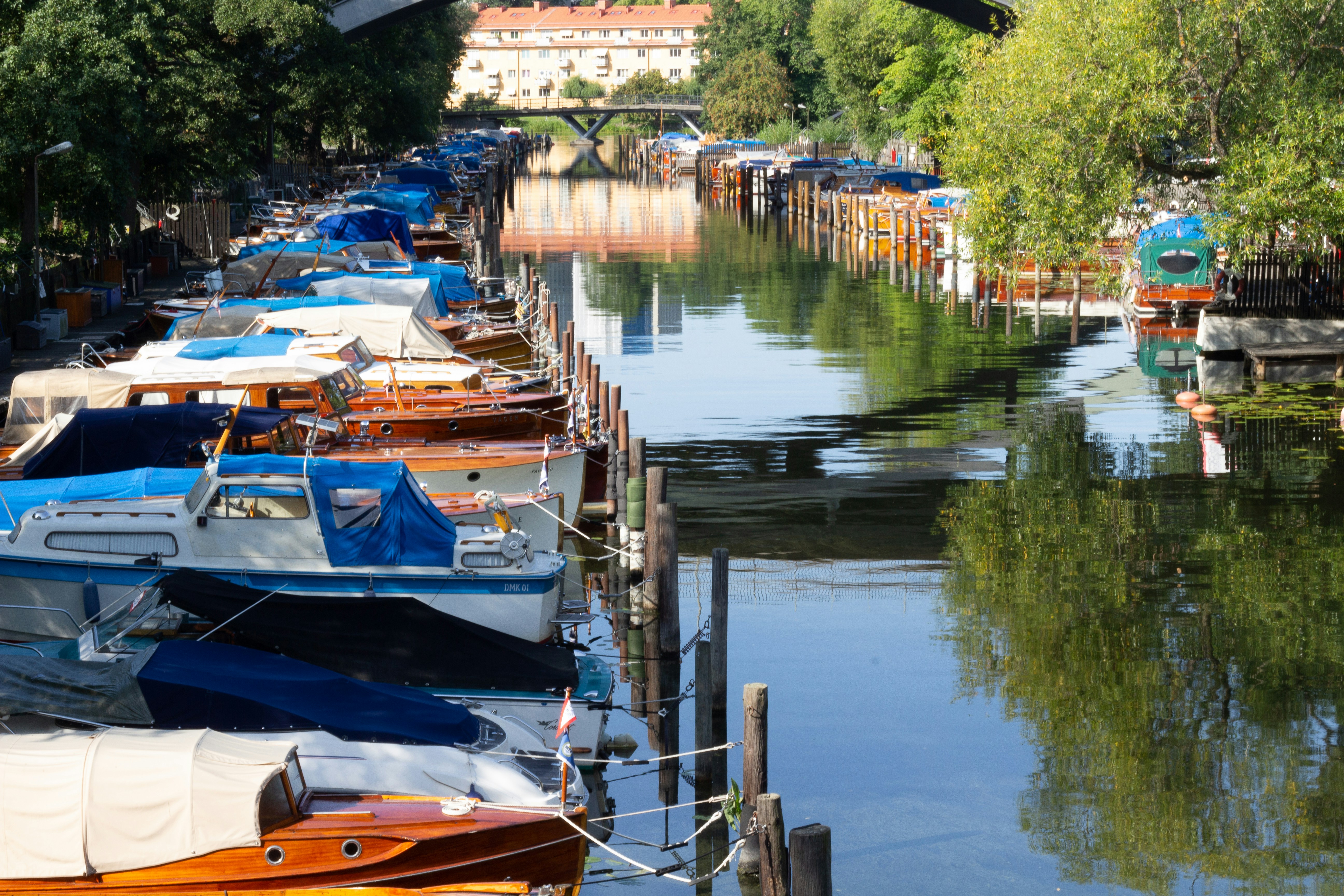 Photo by laurinepeyrard