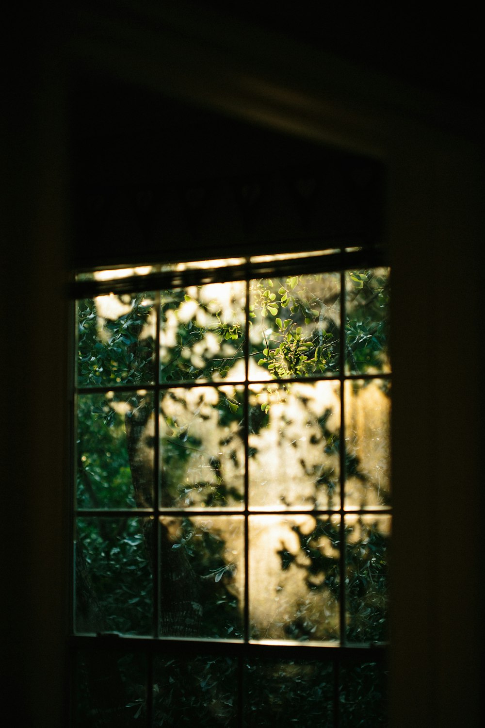 green trees on the window