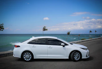 A sleek white sedan parked by a palm-lined beach road under a clear blue sky.