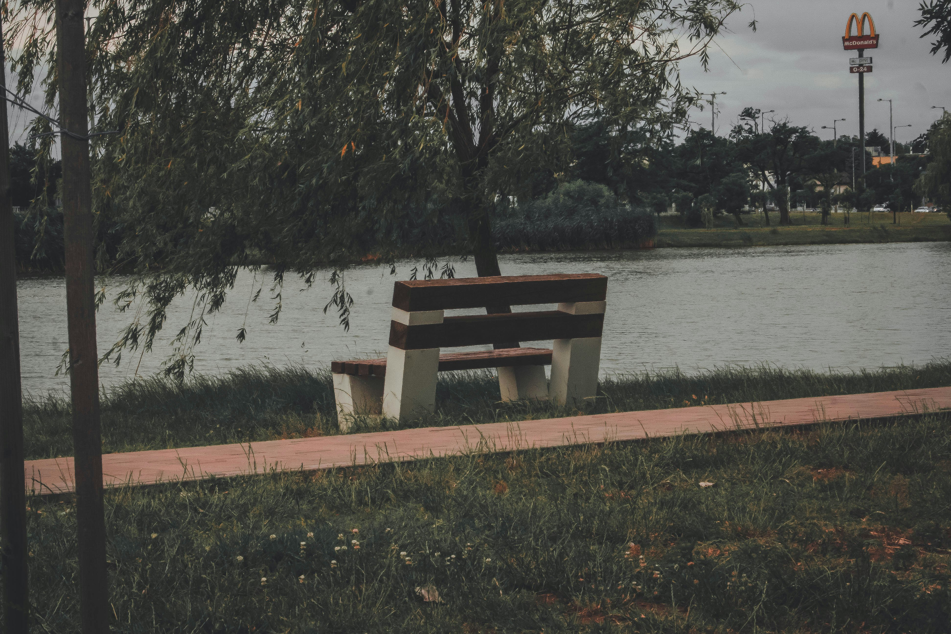 photo-1623869694958-afca16077078?ixid=M3wxMjA3fDB8MXxzZWFyY2h8OHx8YmV0b3Zpc3xlbnwwfHx8fDE3NTU5MzE0MzF8MA\u0026ixlib=rb-4.1.0