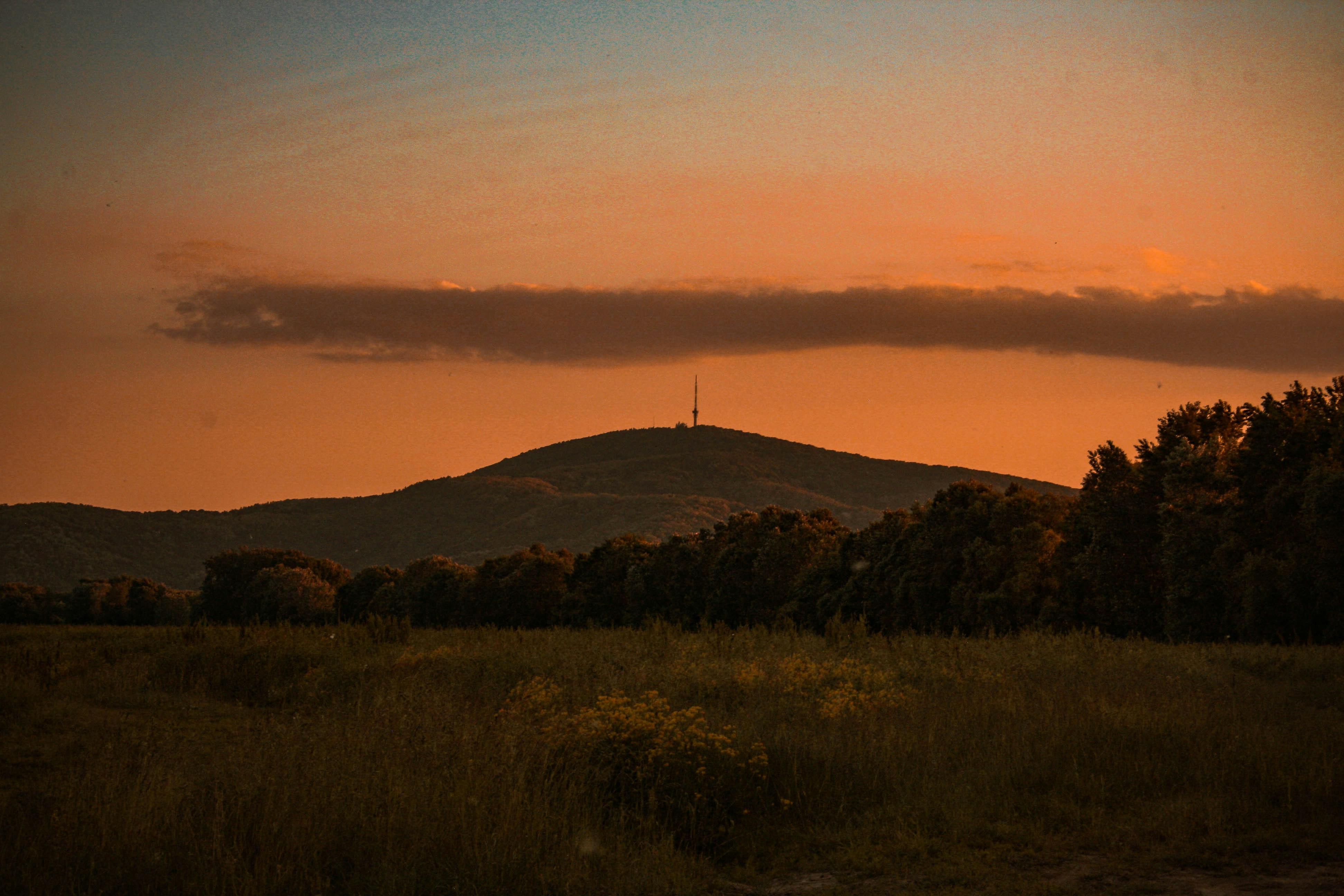 Photo by bglrk
