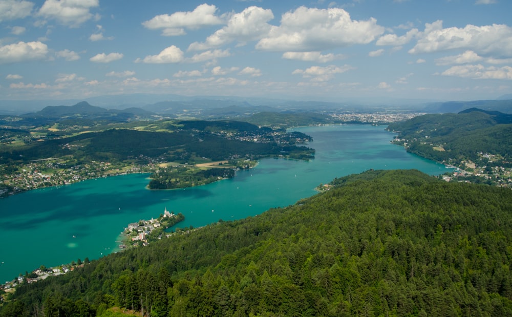 green trees near blue sea under blue sky during daytime