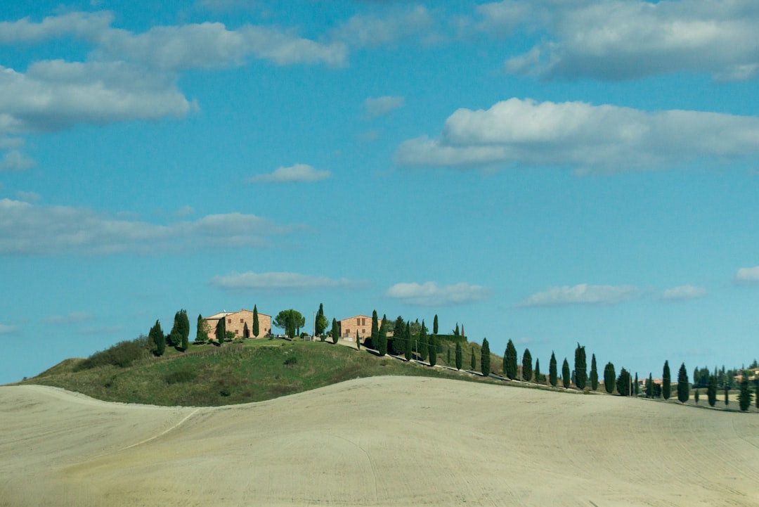 Under the Tuscan Sunshine: Discovering Italy's Tipsy Secret in Mont… — Under the Tuscan Sunshine