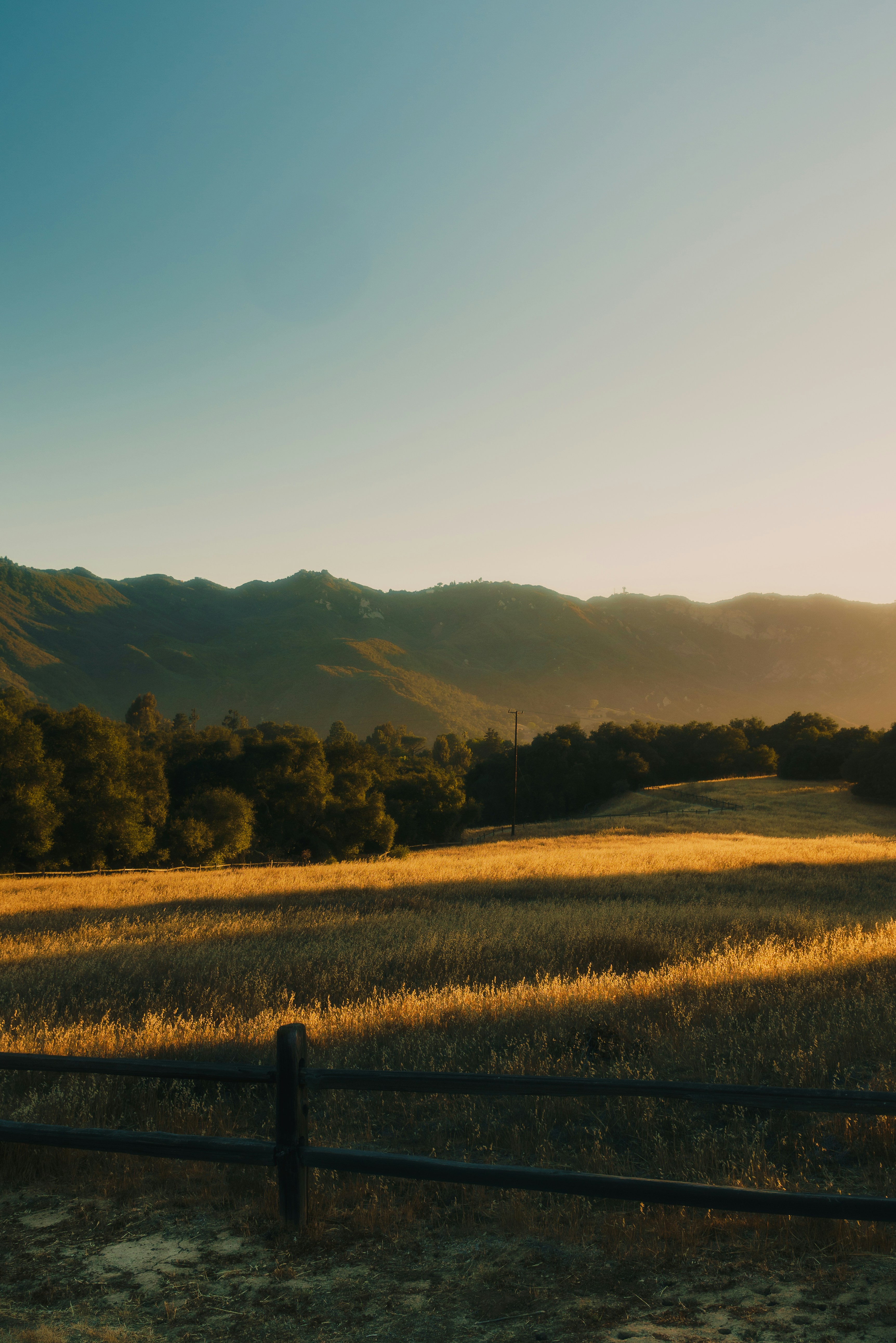 Photo by connorgaskey