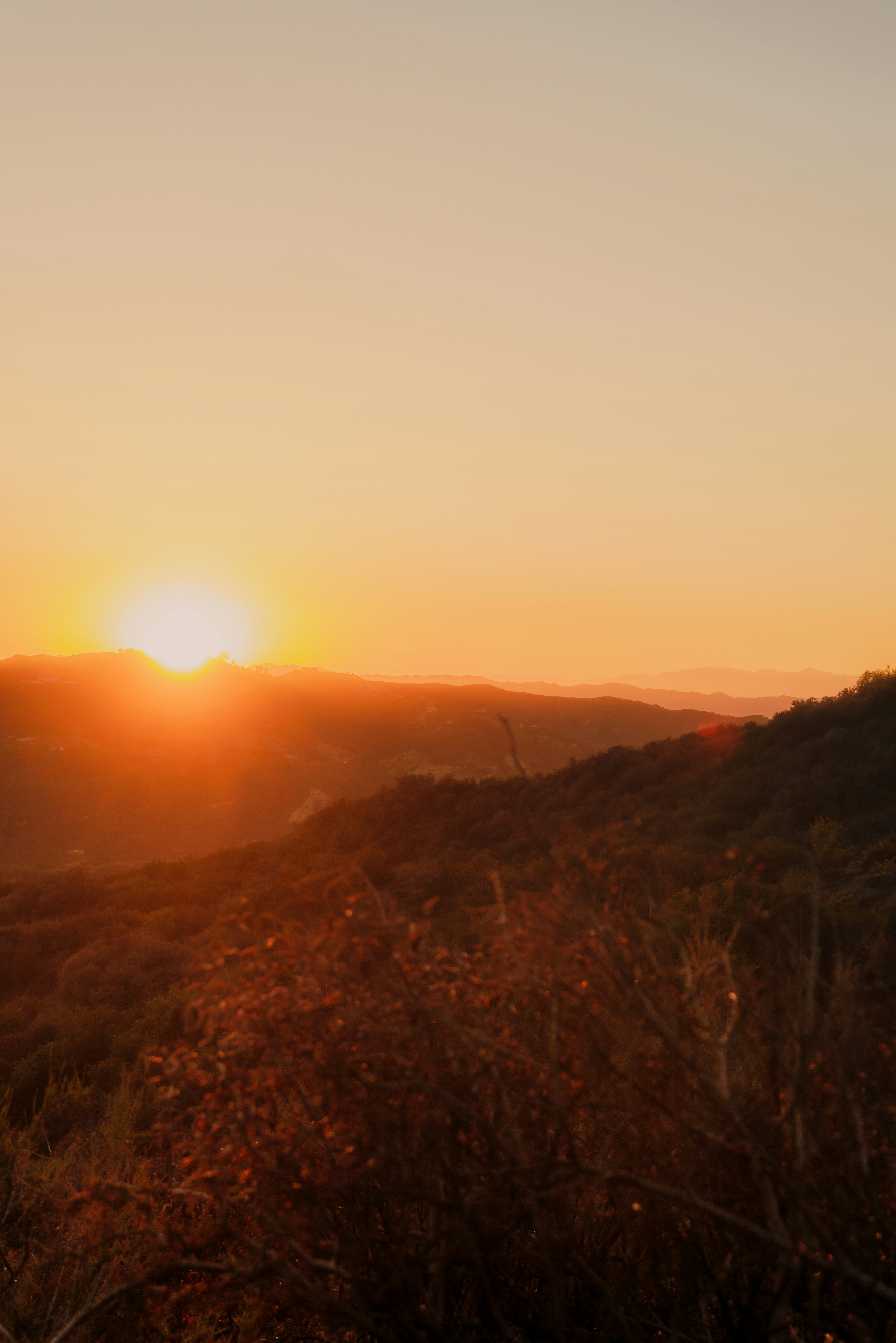 Photo by connorgaskey