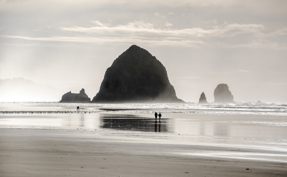 people walking on beach during daytime