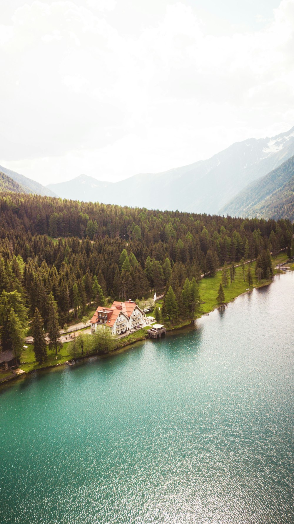 green trees near body of water during daytime