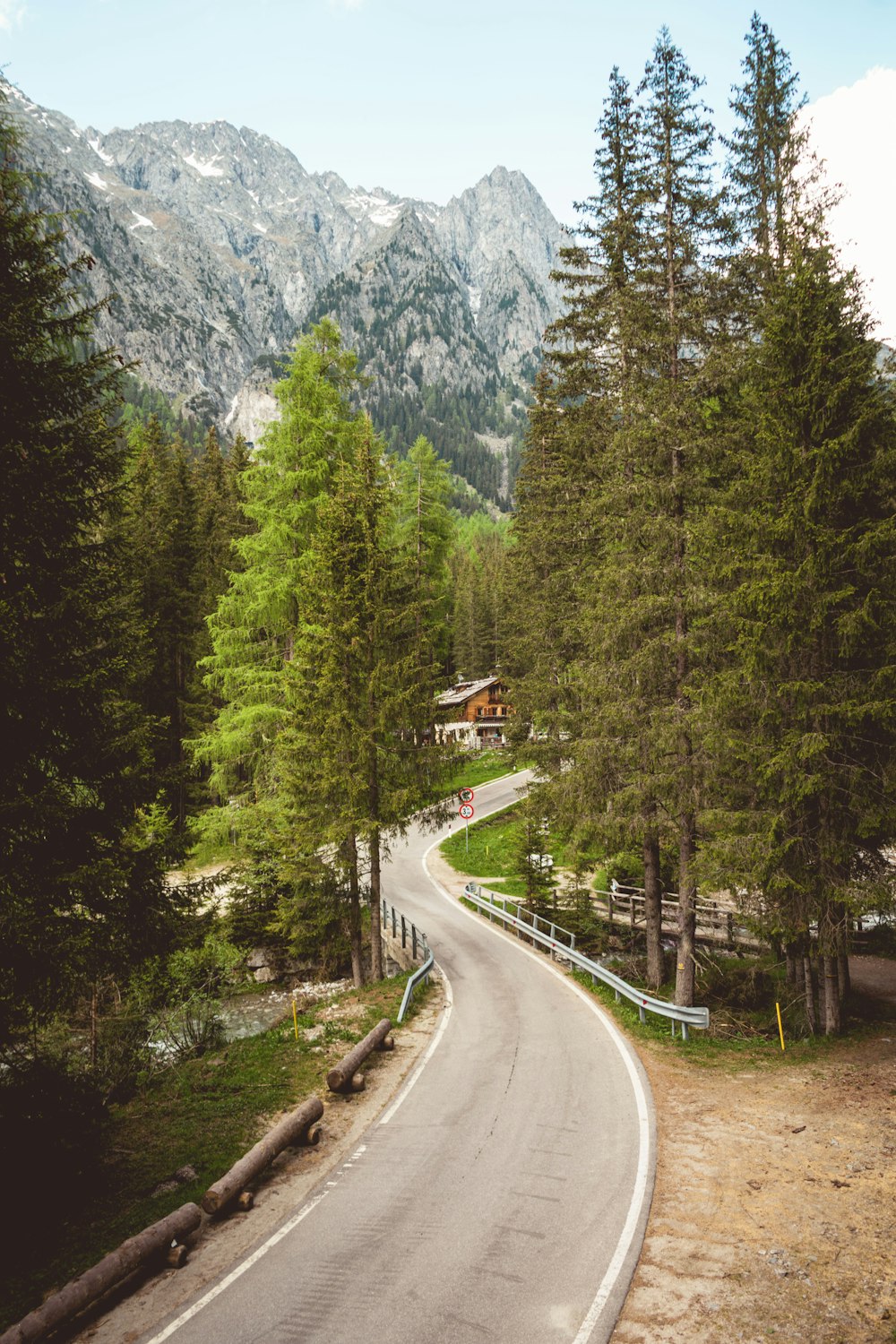 gray concrete road between green trees near mountain during daytime