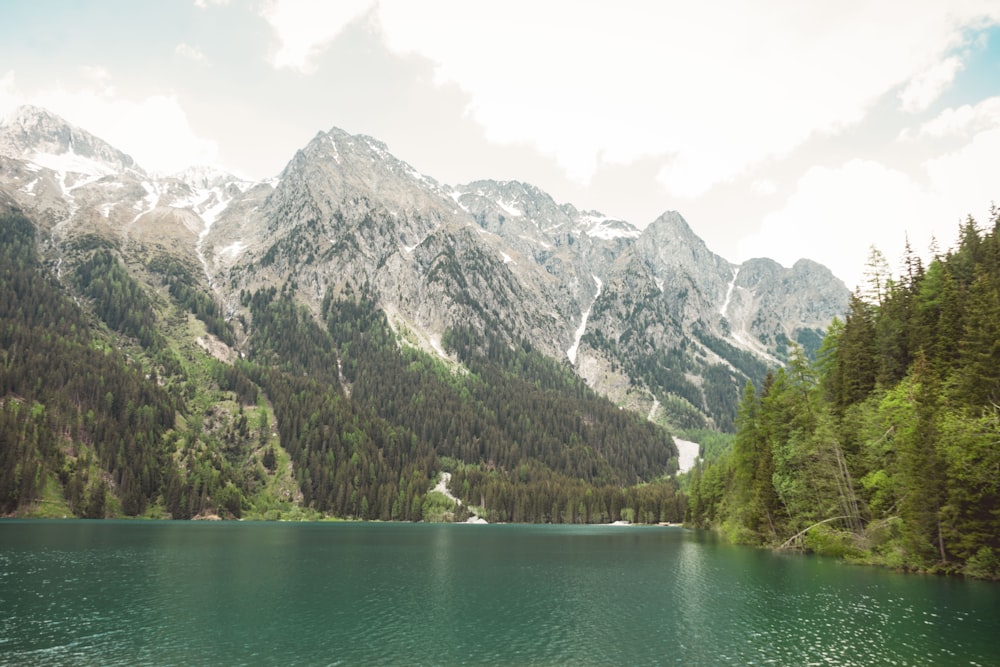 green lake surrounded by green trees and mountains during daytime