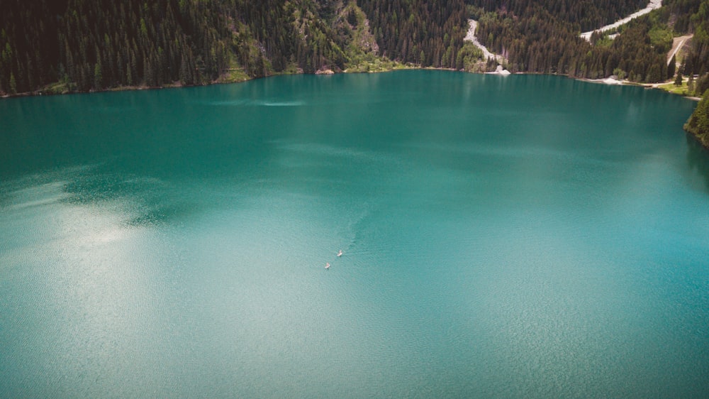 green lake near green trees during daytime