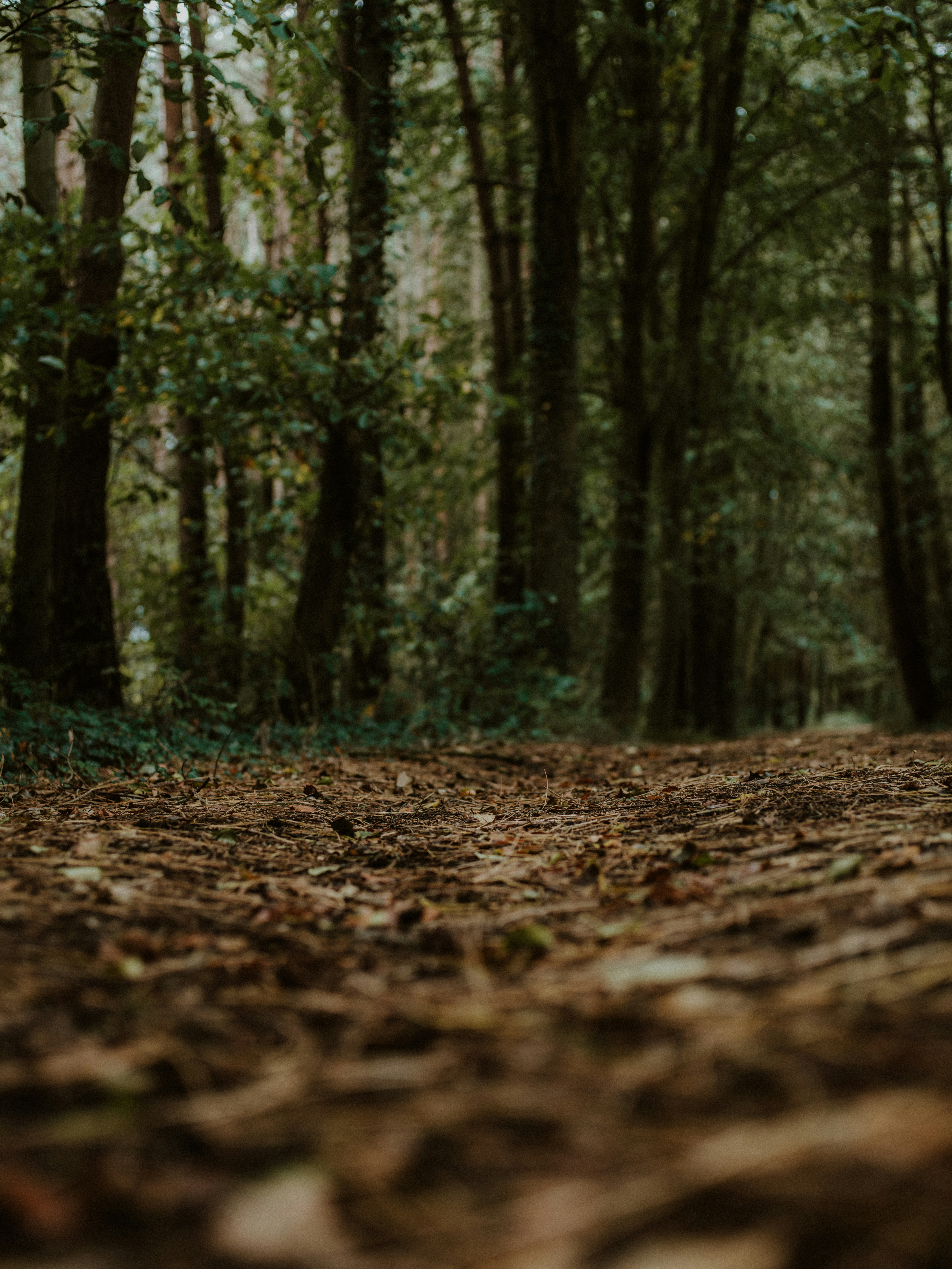 Photo by anniespratt