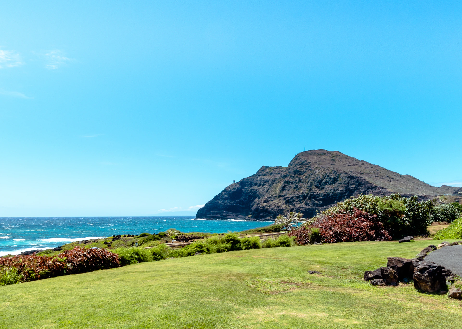 green grass field near body of water during daytime