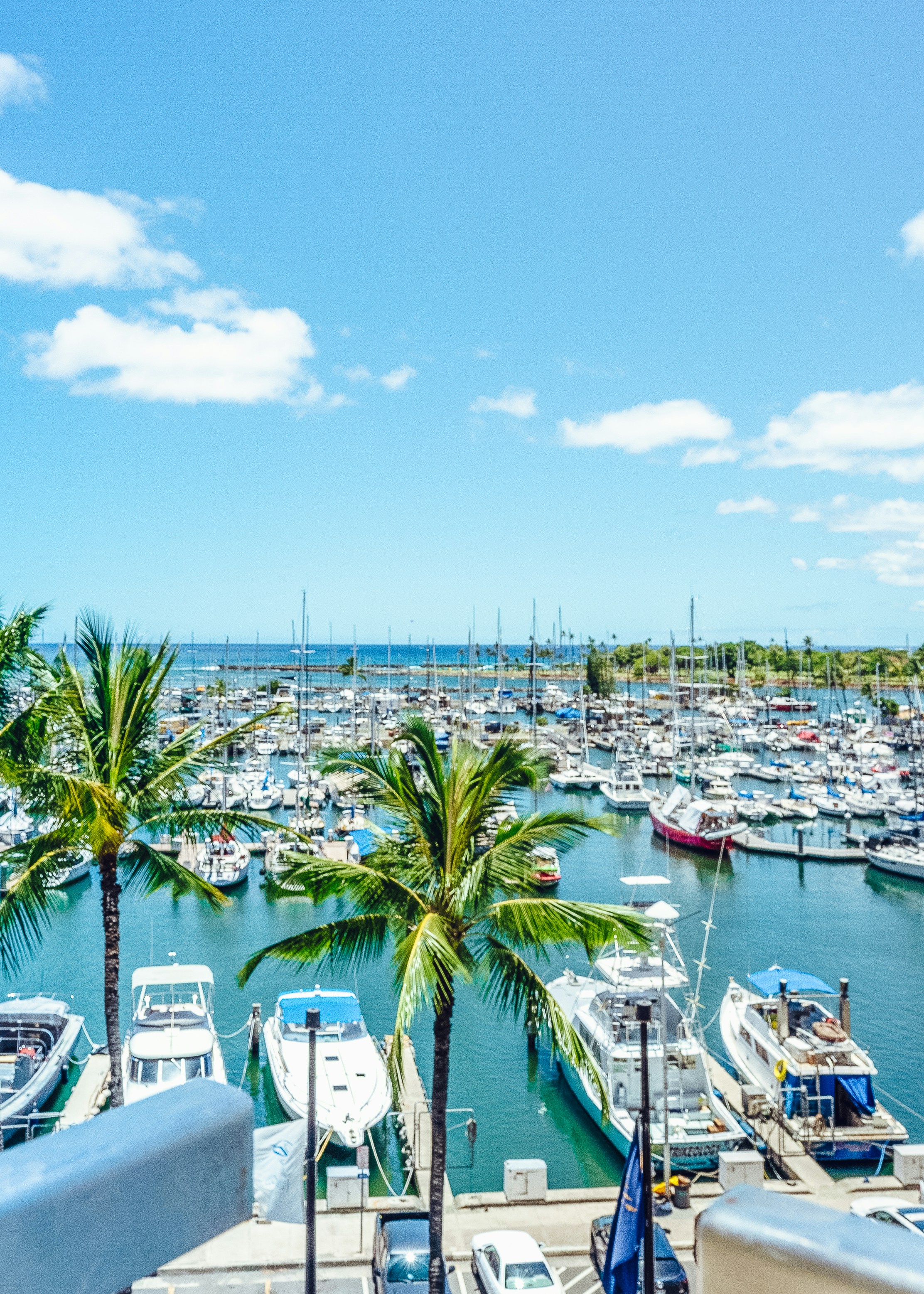 Pueraria Mirifica Oahu Supplier