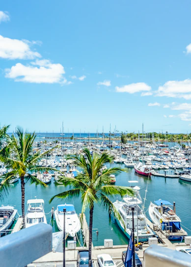 A vibrant marina filled with various boats under a clear blue sky.