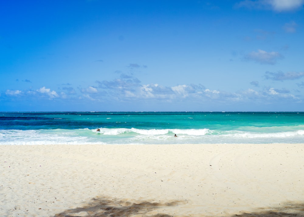 white sand beach during daytime