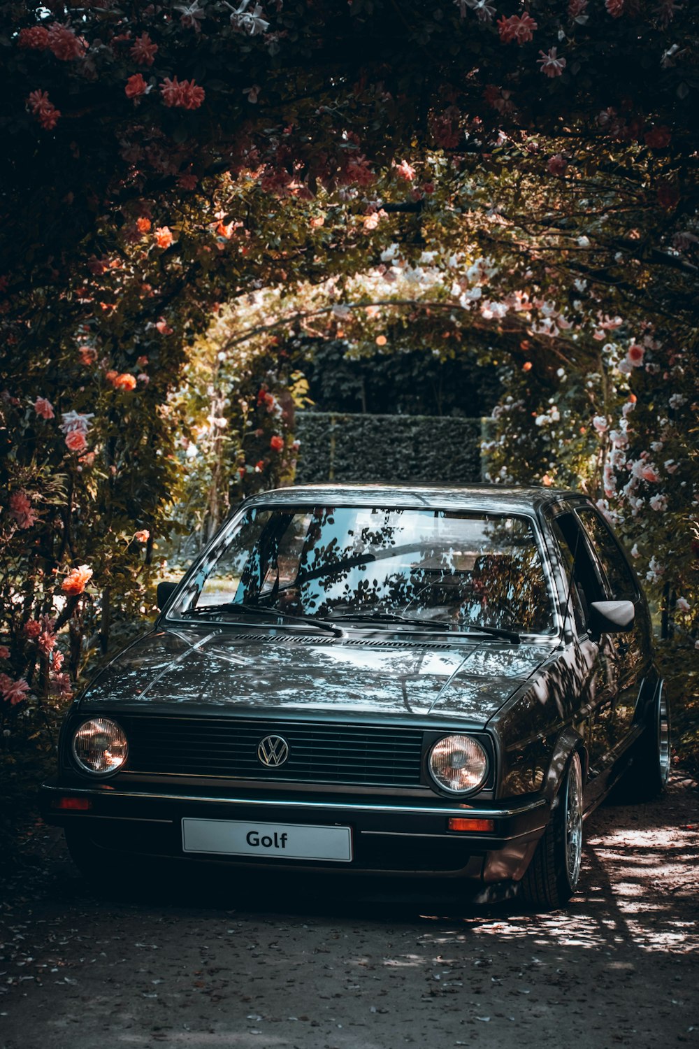 black mercedes benz c class parked near green and yellow christmas tree