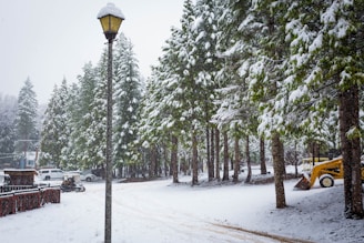 A snowy landscape featuring a line of evergreen trees heavily laden with snow. In the foreground, a street lamp stands tall next to a snow-covered road. To the left, several vehicles, including a car and a small loader, are partially visible along a wooden fence. Snowflakes gently fall, adding a serene and quiet atmosphere to the scene.