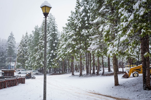 A snowy landscape featuring a line of evergreen trees heavily laden with snow. In the foreground, a street lamp stands tall next to a snow-covered road. To the left, several vehicles, including a car and a small loader, are partially visible along a wooden fence. Snowflakes gently fall, adding a serene and quiet atmosphere to the scene.