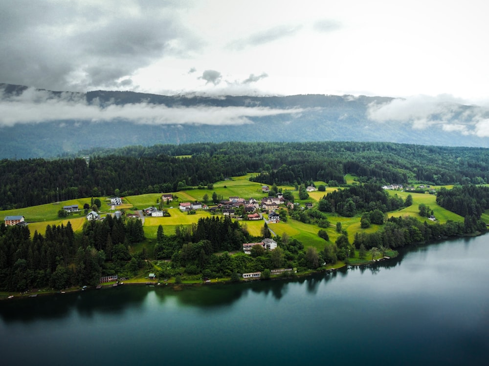 green trees and green grass field near lake under white clouds during daytime