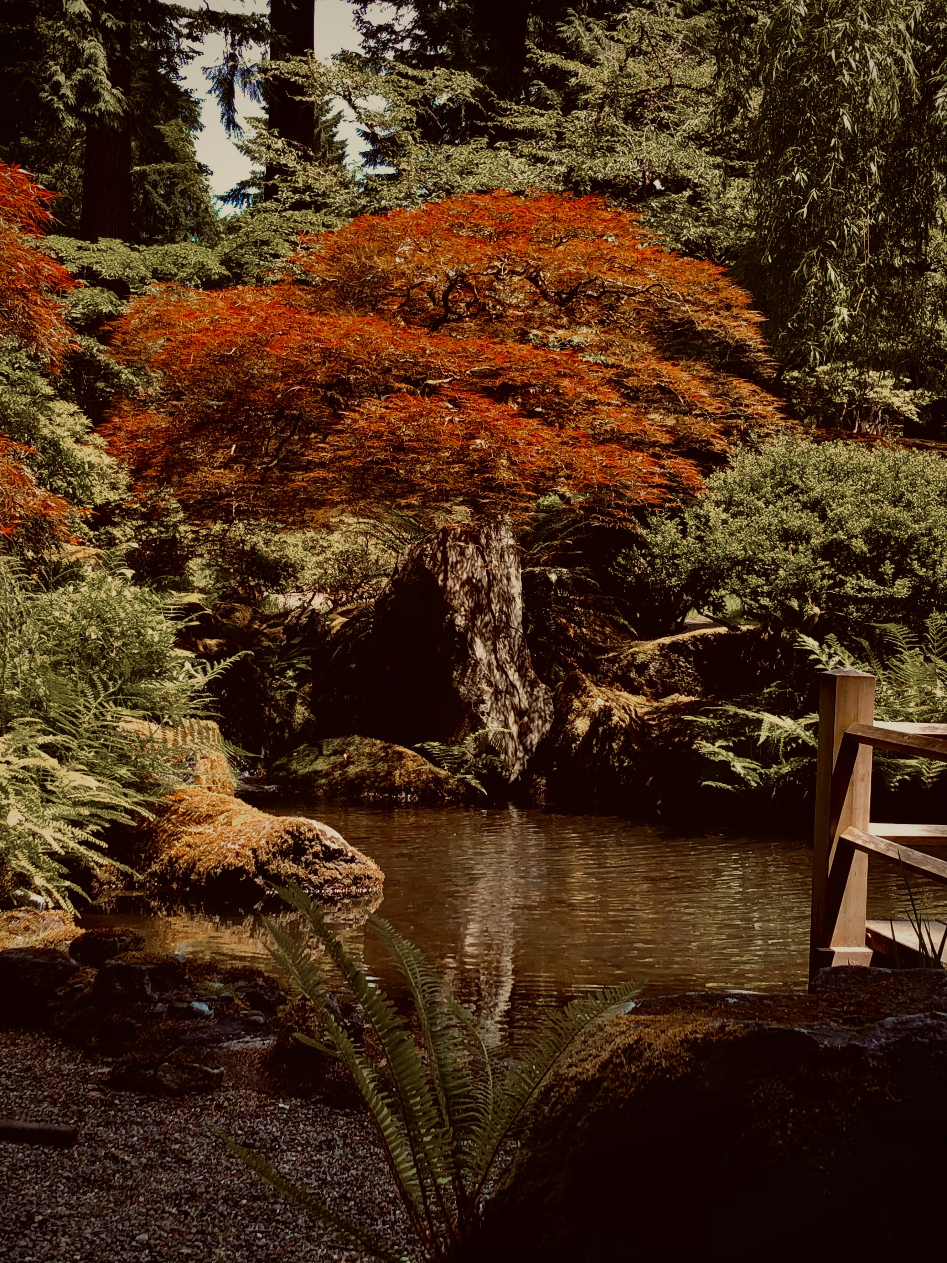 brown wooden bridge over river