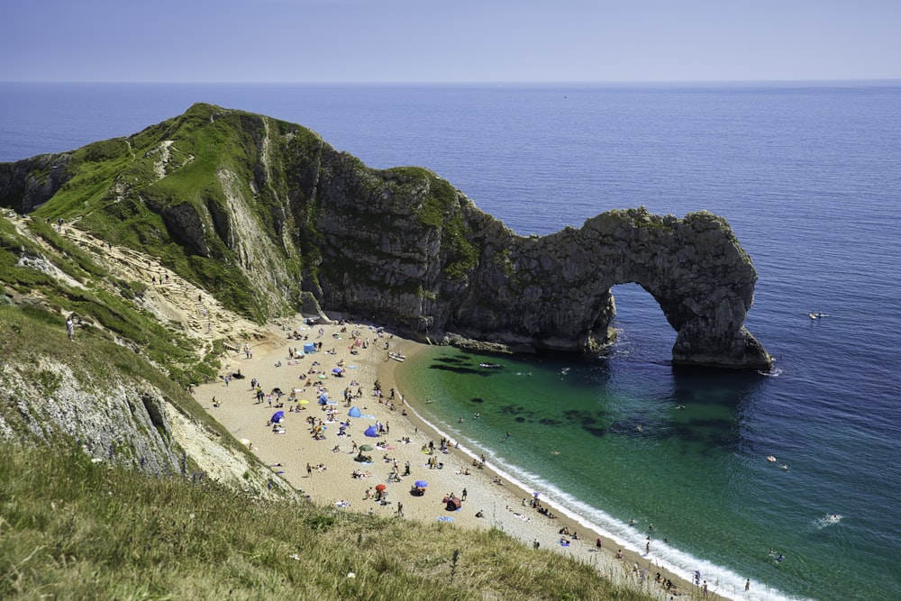 people on beach during daytime