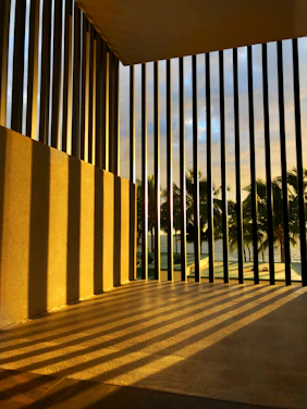 Sunlight casting warm shadows over a modern tropical villa surrounded by lush palms and ocean views.