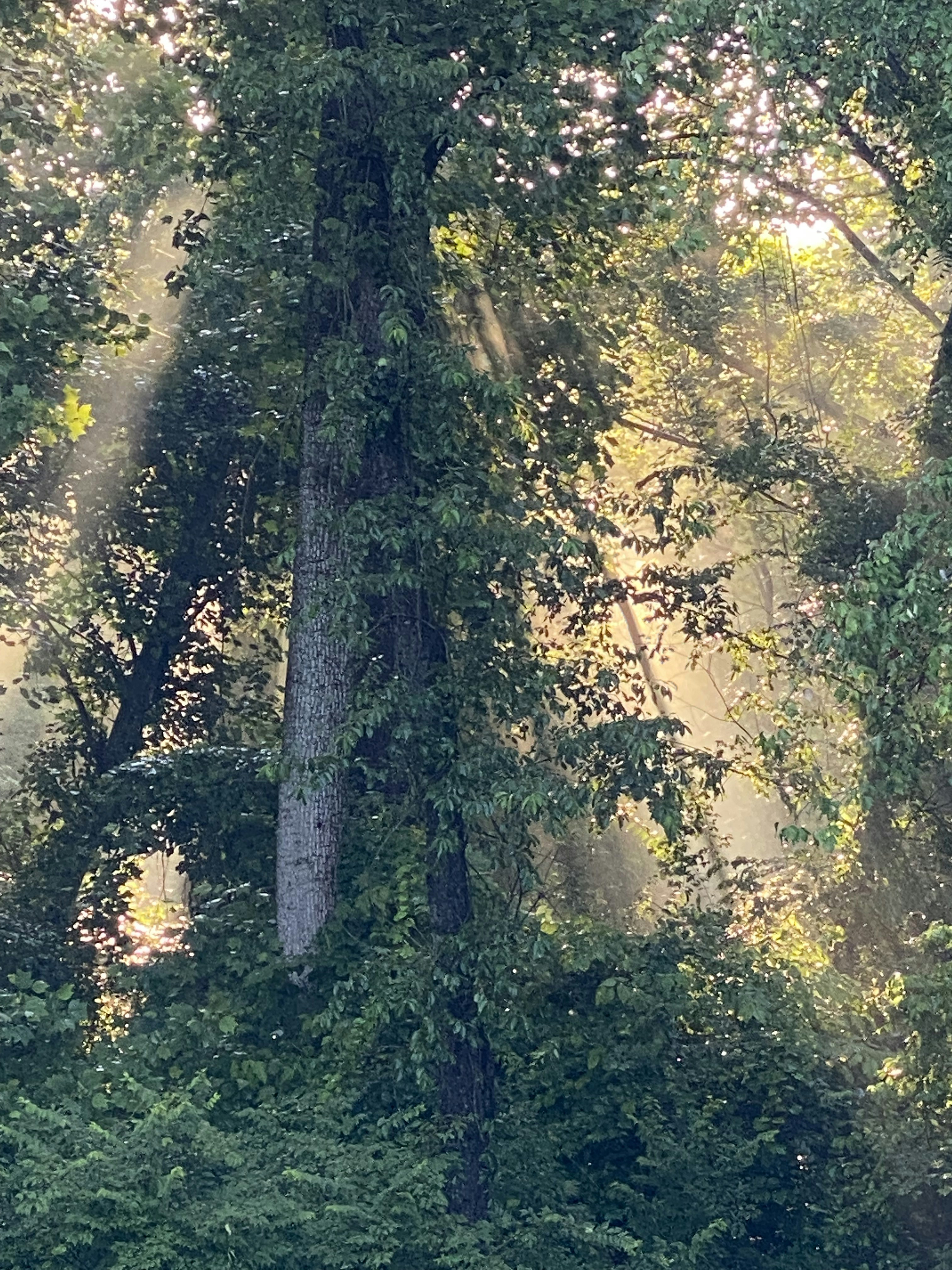 Photo by kalepapoint