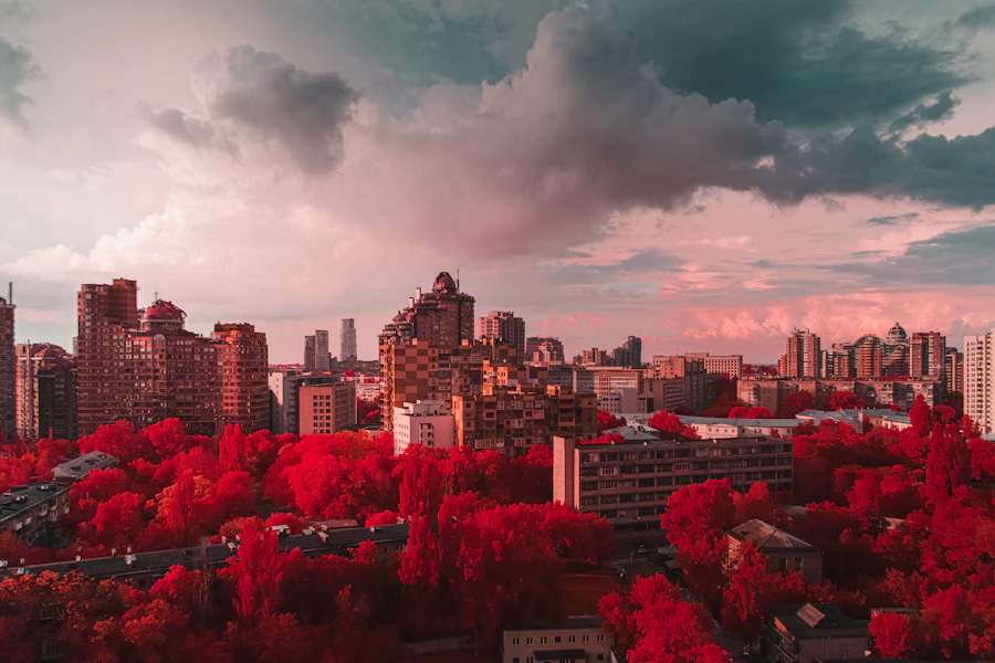 The Kyiv skyline