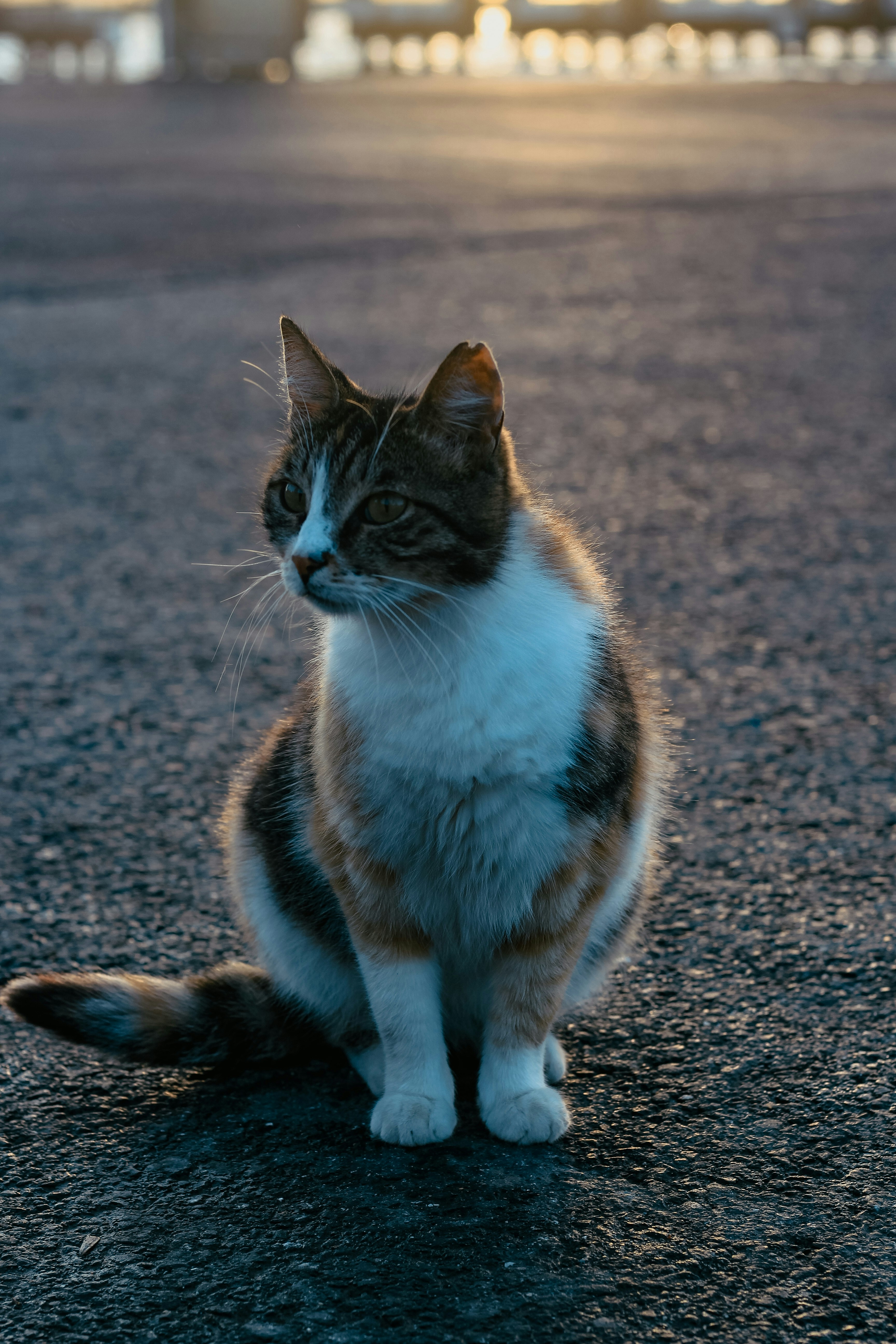 Photo by humayardim