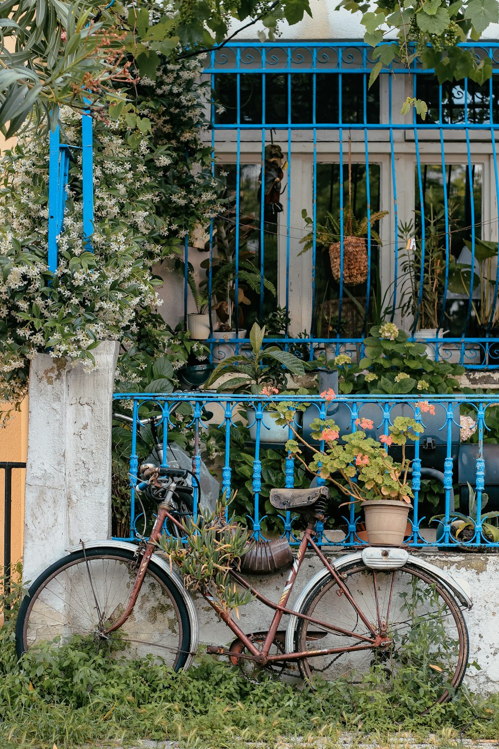 blue bicycle with flowers on top