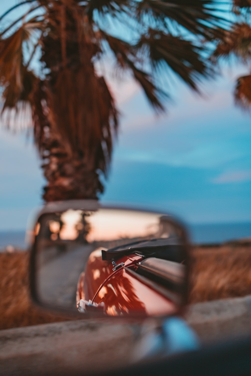 red car near palm tree during daytime