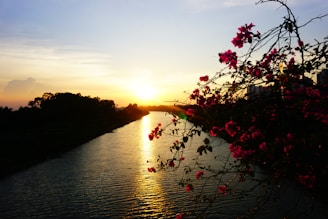 A vibrant sunset casting golden hues over the Ganges river at Rishikesh.