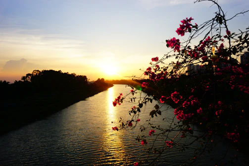 A vibrant sunset casting warm hues over the calm waters of the Kinabatangan River.