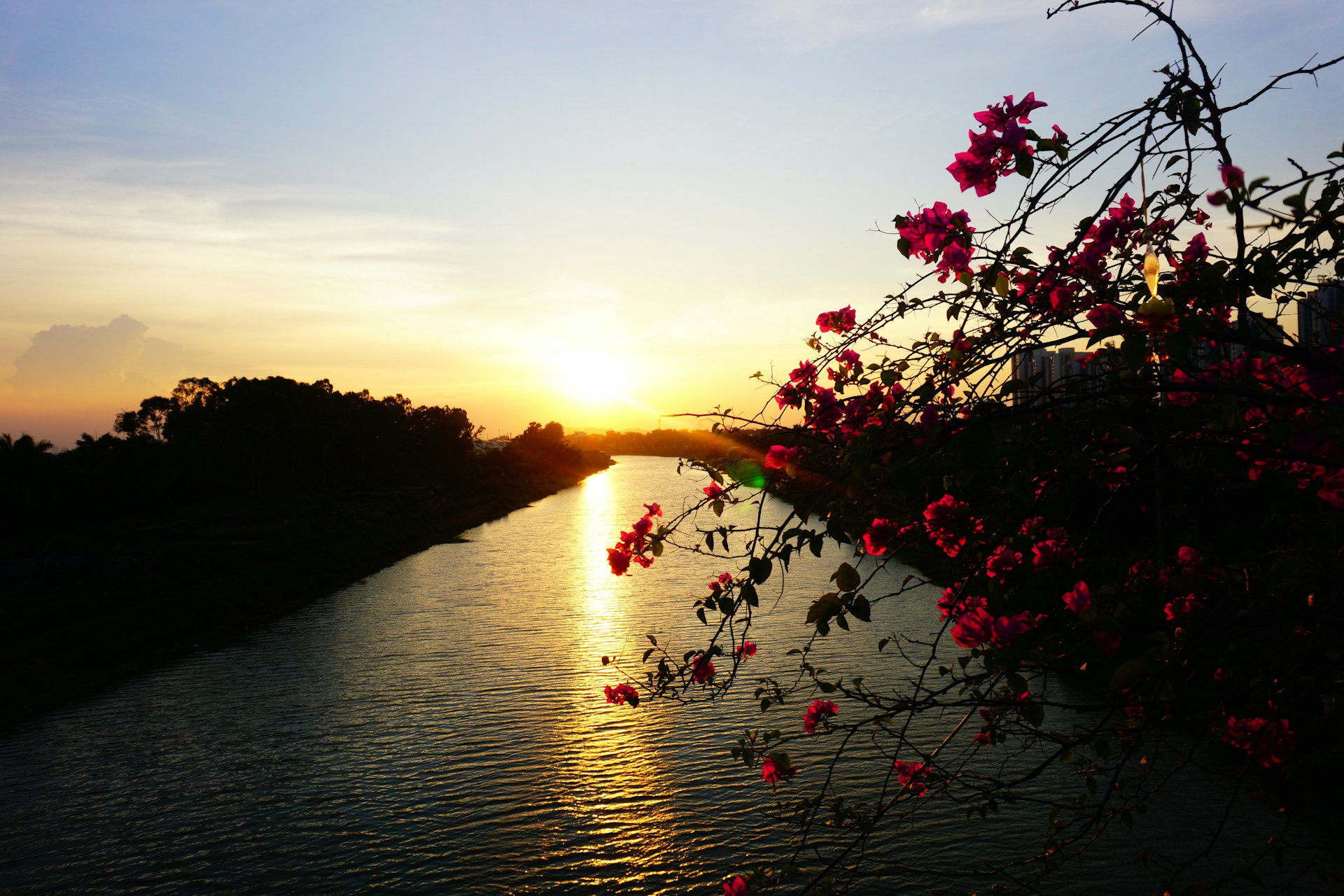 A vibrant sunrise over the Chari River with lush green vegetation along the banks near Sarh.