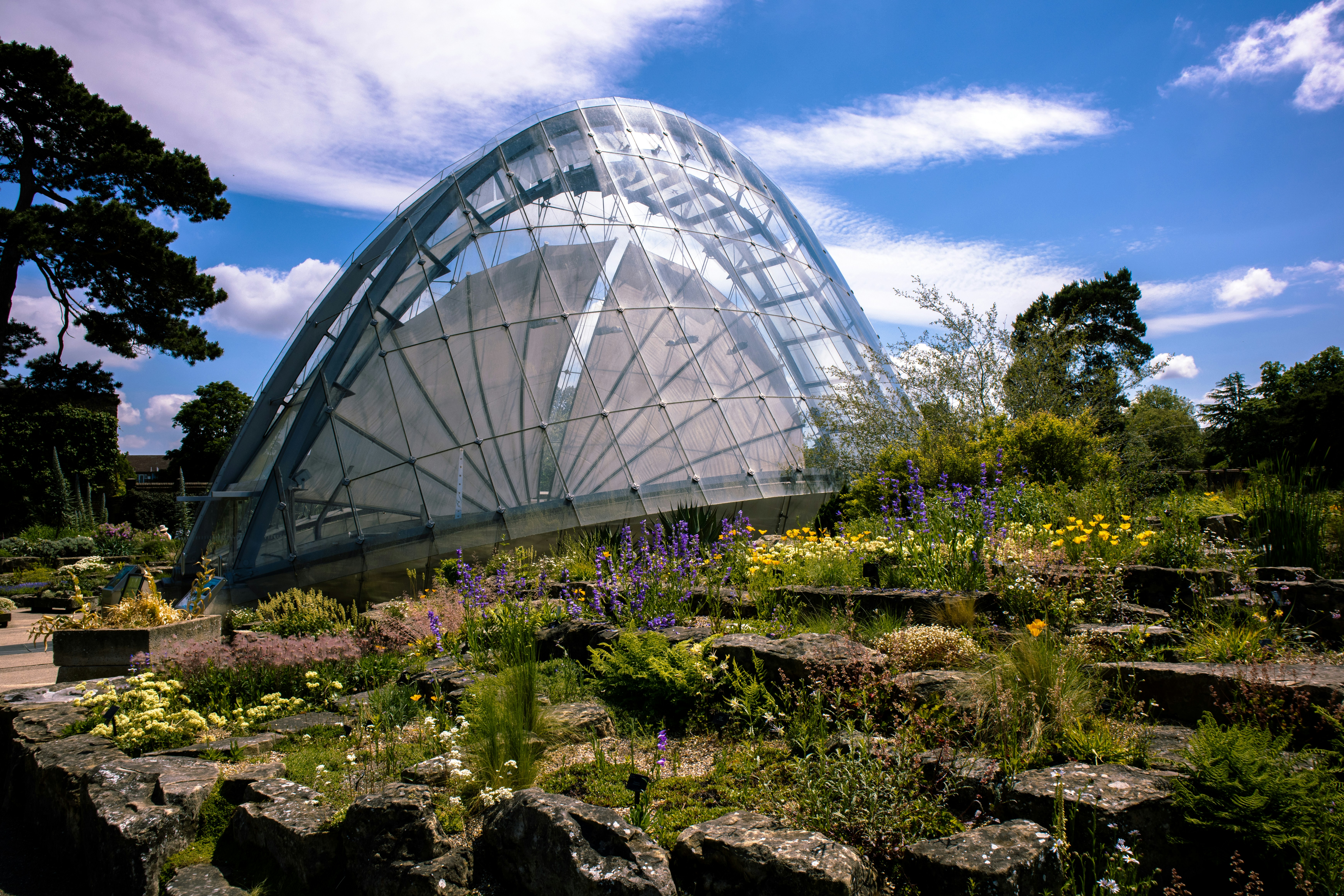 Image by Steve Ou via Unsplash