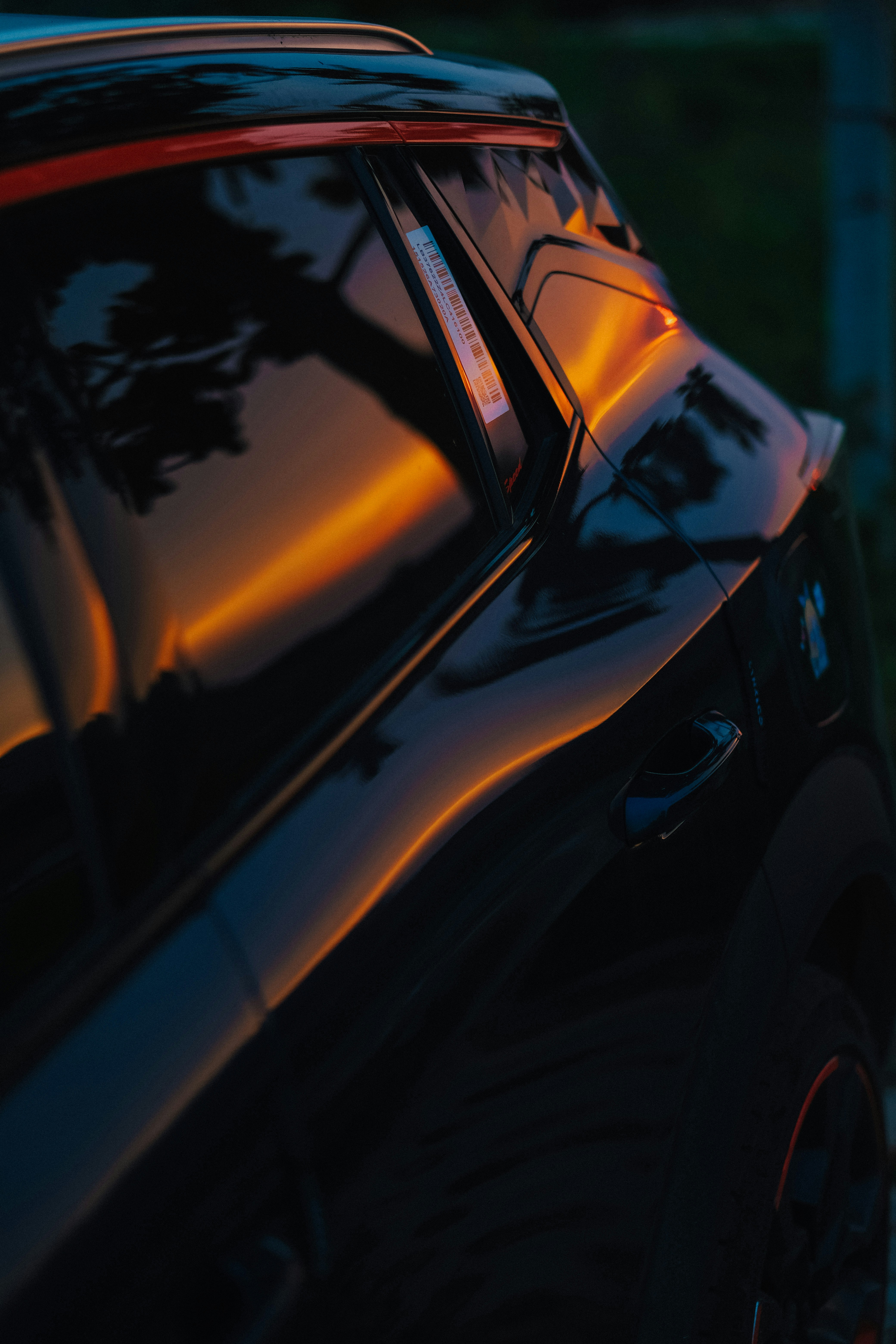 Photo by photohunter