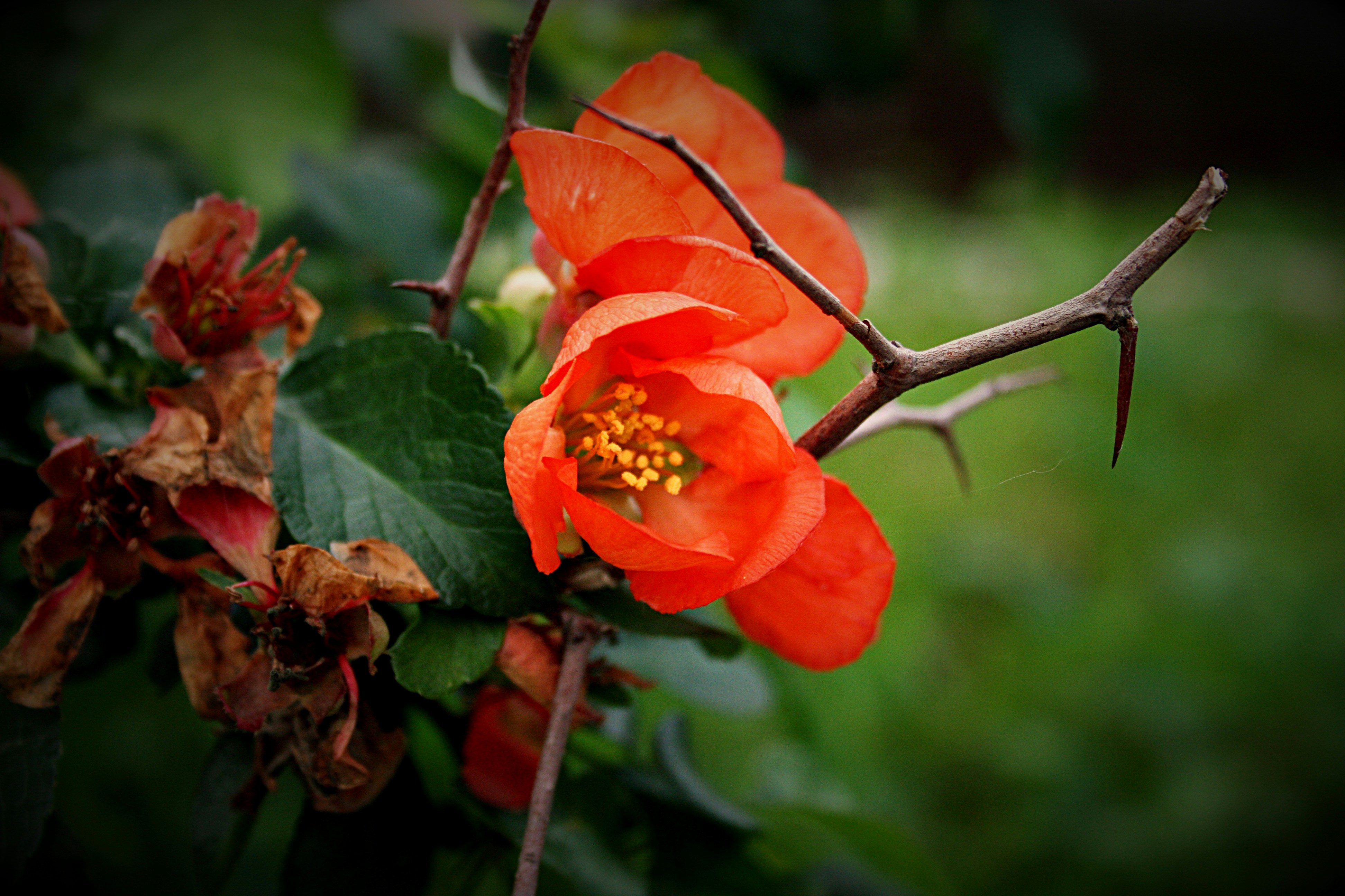 Photo by kira_cherkavskaya