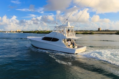 white and blue boat on sea during daytime