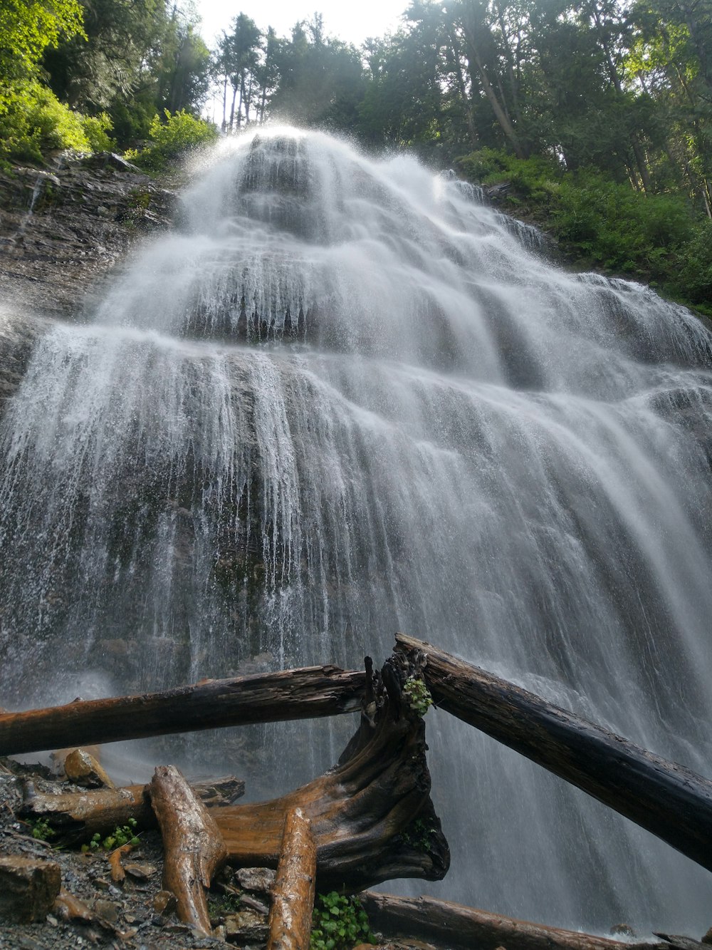 brown tree log on waterfalls