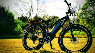 A black bicycle with a prominent electric motor rests on a grassy field, surrounded by dense green trees under a bright sky.
