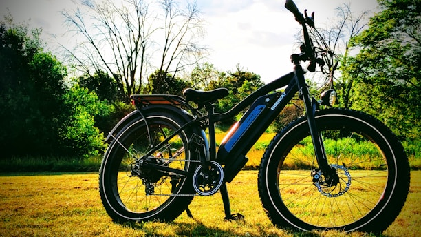 A black bicycle with a prominent electric motor rests on a grassy field, surrounded by dense green trees under a bright sky.