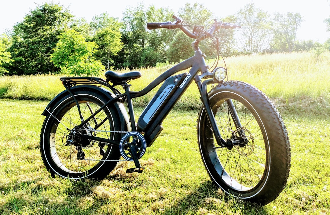 black and blue mountain bike on green grass field during daytime