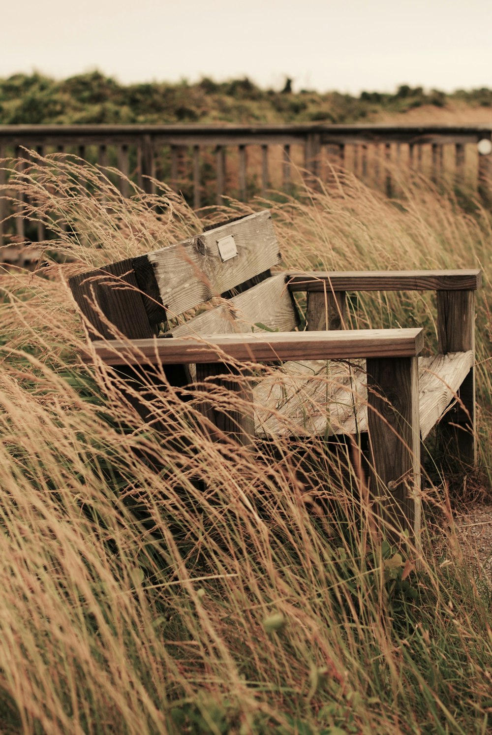 brown wooden bench on brown grass field