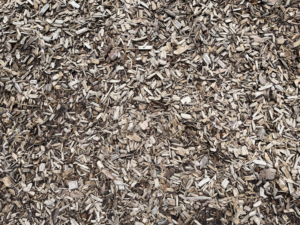 Hojas secas marrones en el suelo