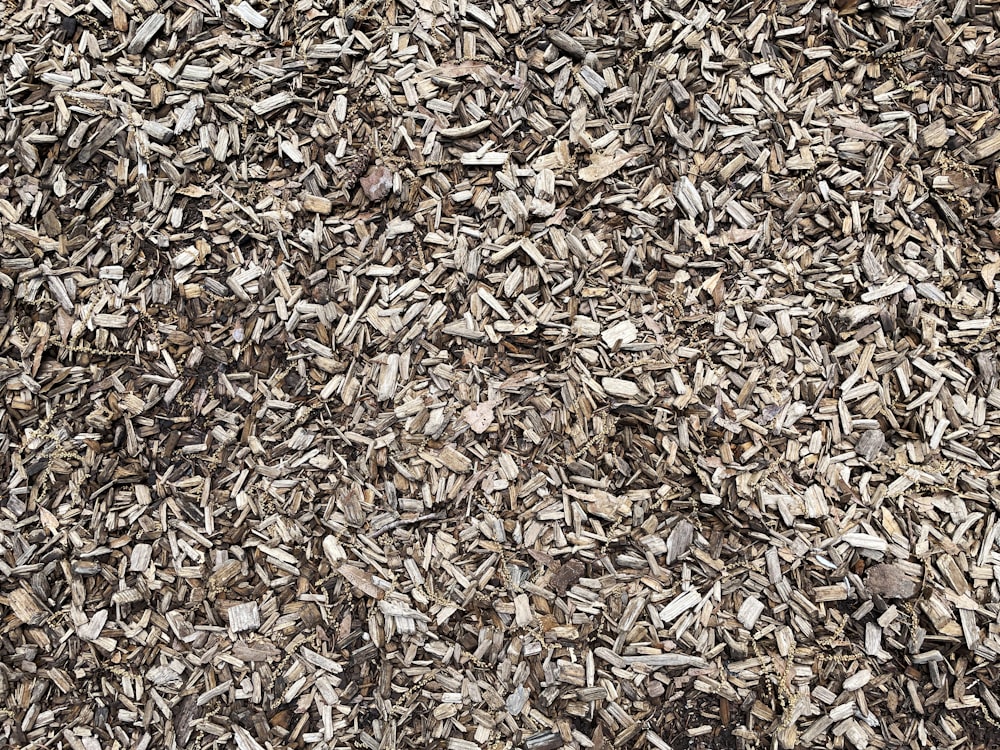 brown dried leaves on ground