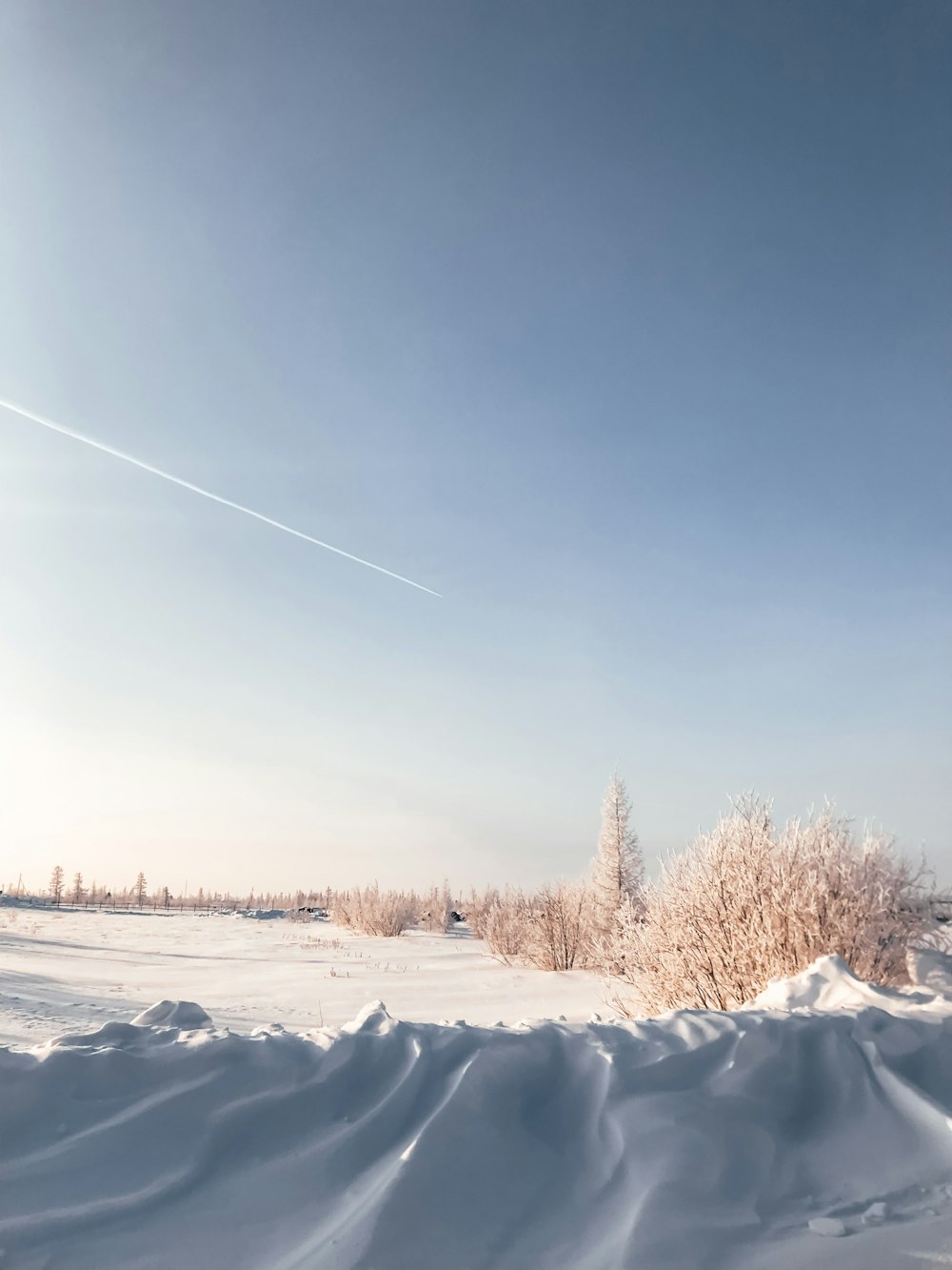 snow covered field and trees under blue sky during daytime