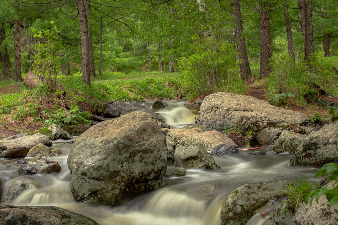 gray rocks on river during daytime