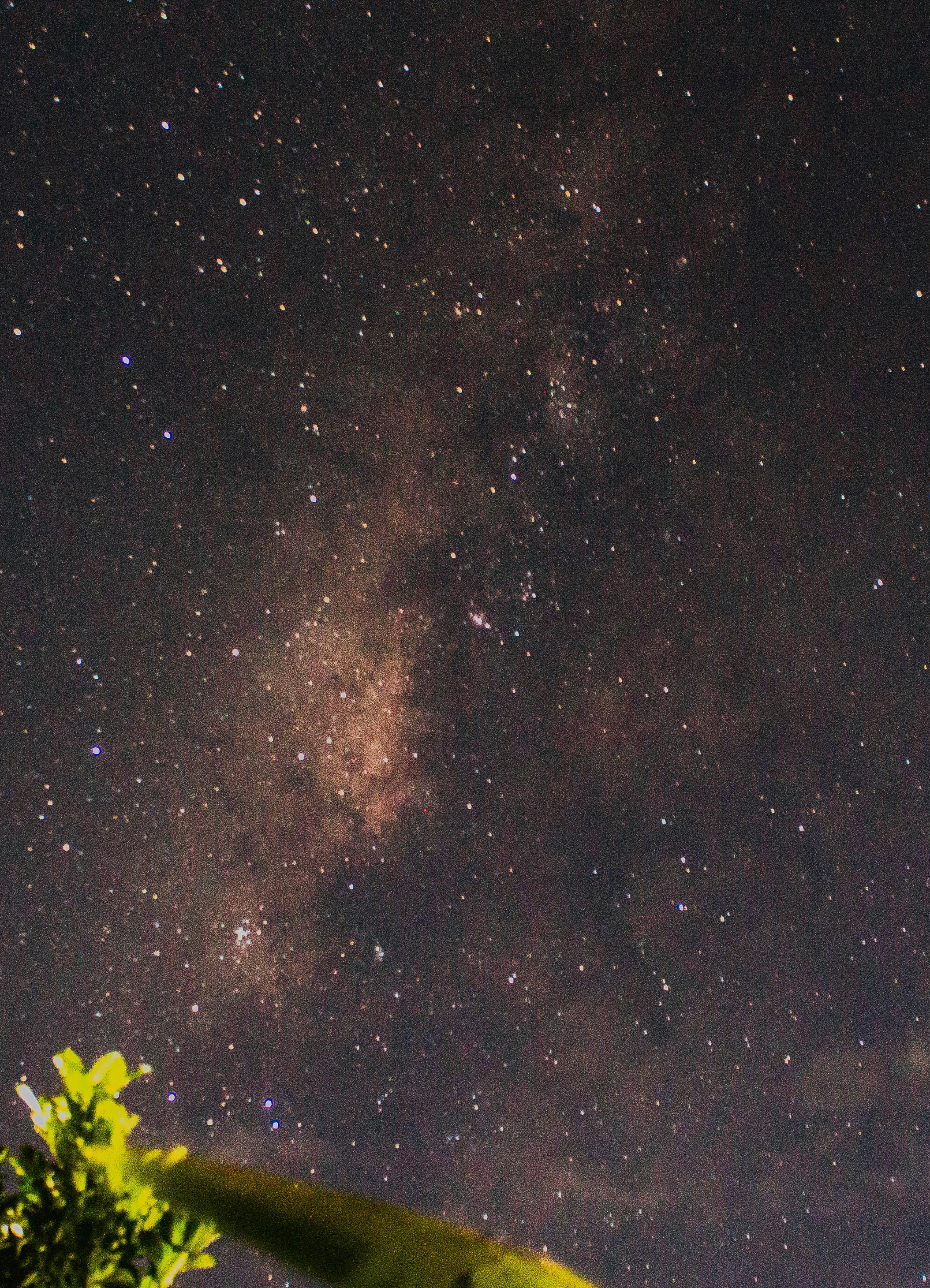 green tree under starry night