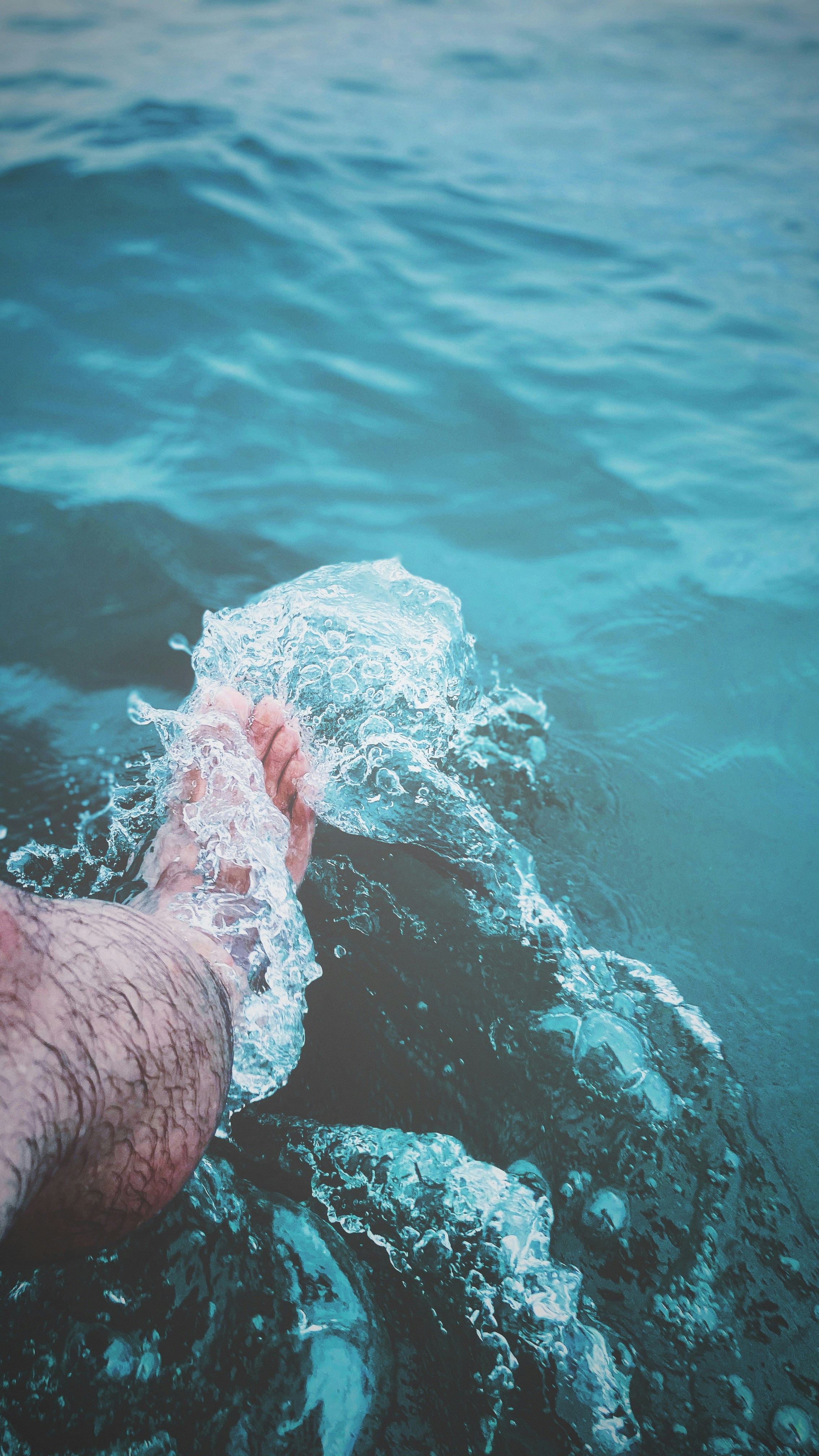 Photo by mocking_bird