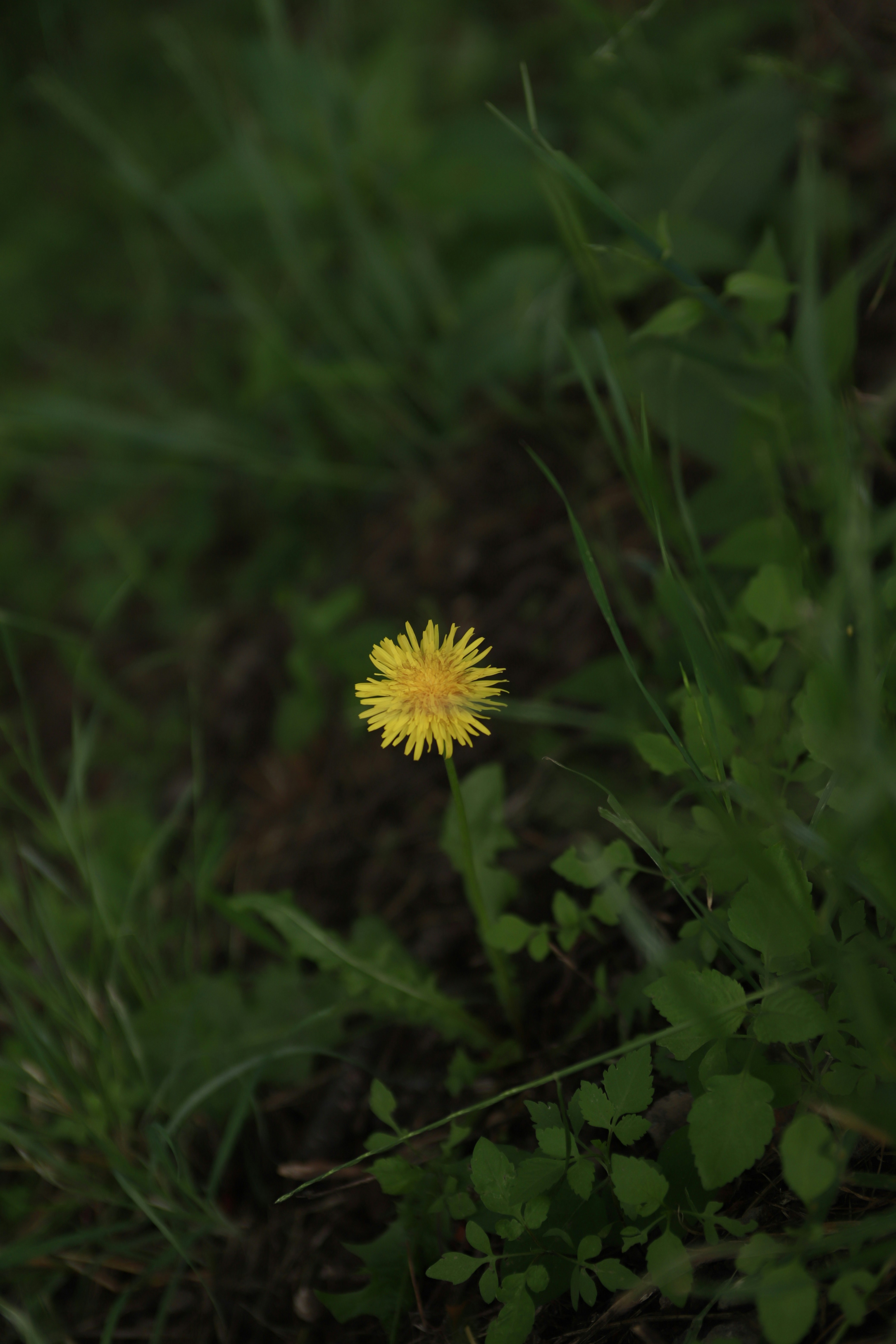 Photo by tiendat4393